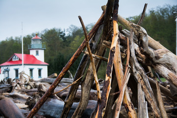Stacked Drift wood on Vashon Island Washington Coast