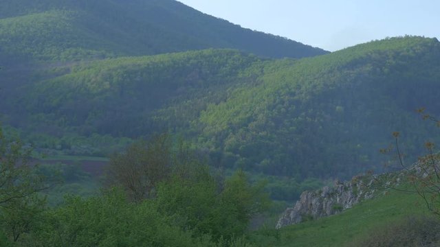 View of a forest in Rimetea, Romania 