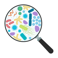 Gut microflora, bacterias under zoom tool - 199389235