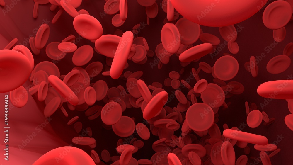 Wall mural red blood cell in blood vessel of body. science graphic for education of school. 3d rendering.