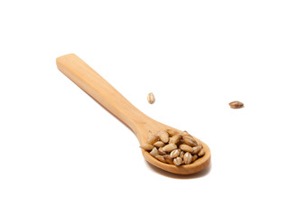 Wooden spoon with grain on the white