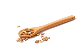 Wooden spoon with grain on the white