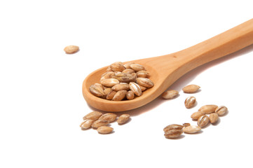 Wooden spoon with grain on the white