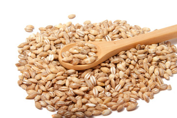 Wooden spoon with grain on the white