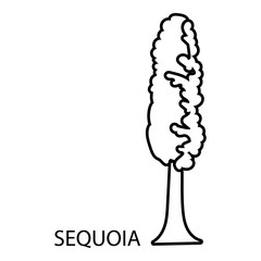 Sequoia icon, outline style