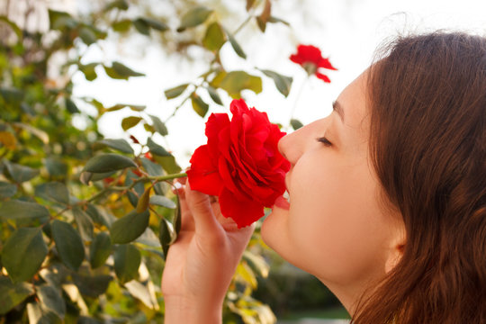 young woman smells a red rose on sunny day