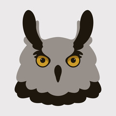 owl bird face vector illustration flat style front
