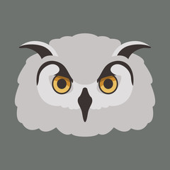 owl bird face vector illustration flat style front