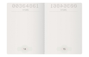 Passport pages. Blank paper pages