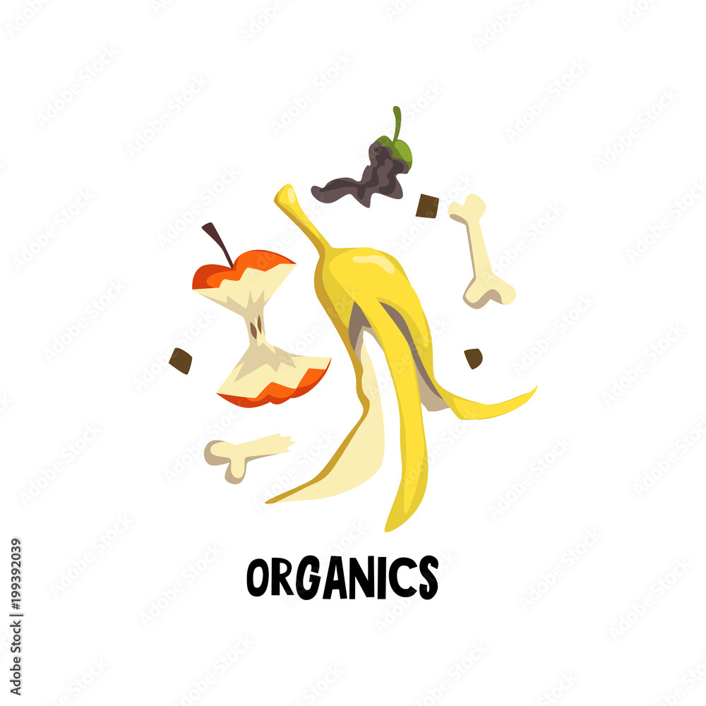 Wall mural Organic litter bone, peel of banana and stub of apple. Rotten food. Flat vector illustration of waste recycling and trash sorting