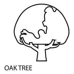 Oak tree icon, outline style