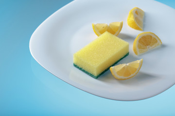 White plate and dish sponge .