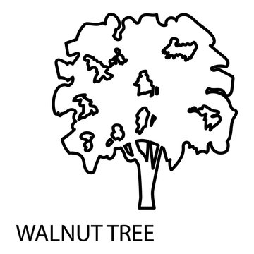 Walnut tree icon, outline style