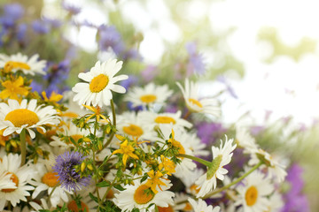 healing collection/ large bouquet of wildflowers