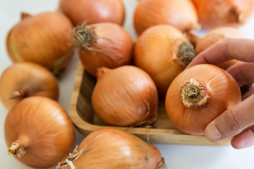 onion isolated. onions on the white background. onion is good for the woman. healing resource.