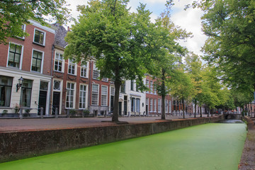 Delft summer view