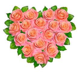 Heart of pink roses. Isolated on white background