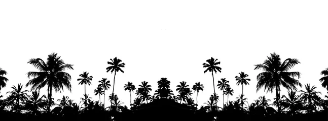 Fotobehang красивый черный силуэт на белом фоне тропических пальм               © Valentina A