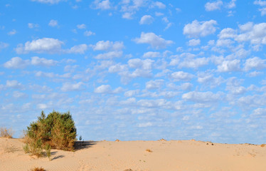 Paisaje desertico
