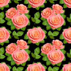 Seamless background with Pink roses. Isolated on black background
