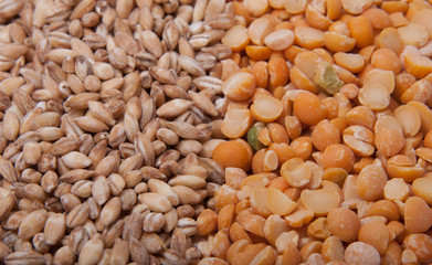 Natural wheat grain on the white