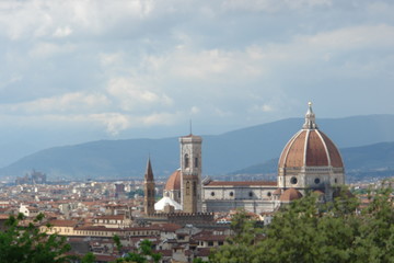 Fototapeta premium flower