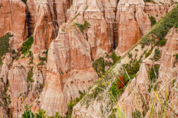 Red clays with dinosaur fossils. Geological reserve