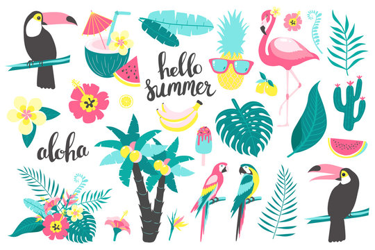 Summer set of design elements tropical leaves, flowers, fruits, flamingos, toucan, parrot. Vector illustration