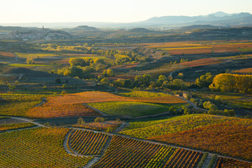 Autumnal fields in the Spanish wine-making region of La Rioja - obrazy, fototapety, plakaty