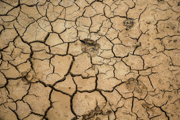 arid soil.