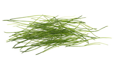 Green grass isolated on white background and texture