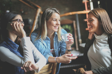 Young girls having fun in cafe. Close up.