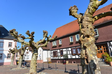 Fototapeta na wymiar Altstadt von Heusenstamm 