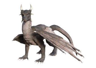 3D Rendering Fairy Tale Dragon on White