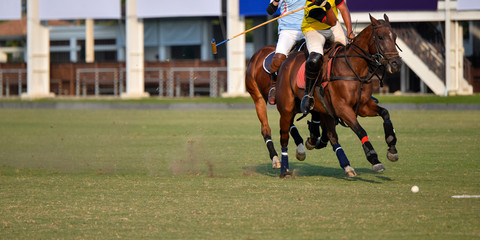 Polo Player ride a horse In Polo Match.