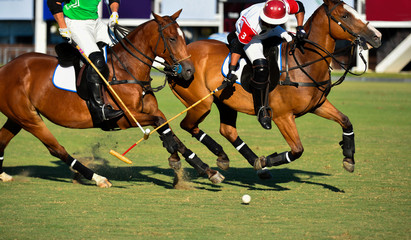 Polo horse players battle in game.