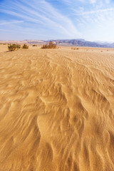 Sand Dune. Wadi Araba desert. Jordan