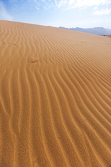 Sand Dune. Wadi Araba desert. Jordan