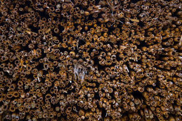 Stroh - Texture