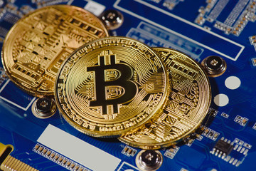 close up view of arranged golden bit coins on computer motherboard