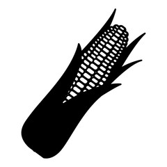 cob corn grain leaves agriculture organic vector illustration