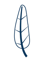 tropical leaf exotic nature foliage image vector illustration green and blue