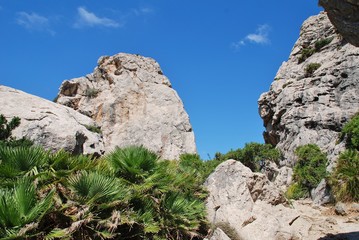 Rocks line the trail through the Boquer valley in the Serra de Tramuntana mountains on the Spanish island of Majorca. Starting at Puerto Pollensa, the 3.5km trail ends at the beach of Cala Boquer.