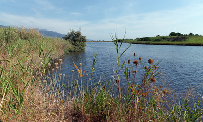 Biguglia lagoon in Corica