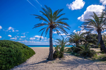 Obraz premium The palm forest of Vai is one of the most popular sights in Crete.It attracts thousands of visitors every year.They come not only for its wonderful palm forest,but also for the amazing tropical beach