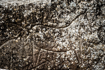 Rock carvings (petroglyphs) of hourses and people in Gobustan National Park. Exposition of Petroglyphs in Gobustan near Baku, Azerbaijan.