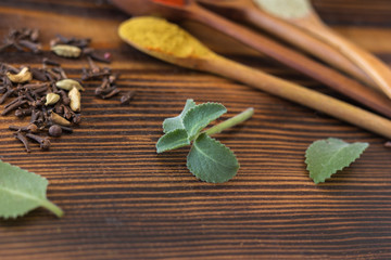 Mint and various spices on a wooden table