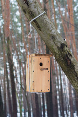 Birdhouse hangs on a tree in a park