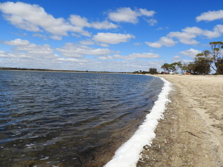 Fototapeta na wymiar Foam along the fore shore of a lake