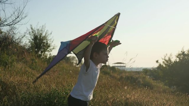 feeling emotion state of mind. Happy kid boy playing with colourful kite against summer landscape background.